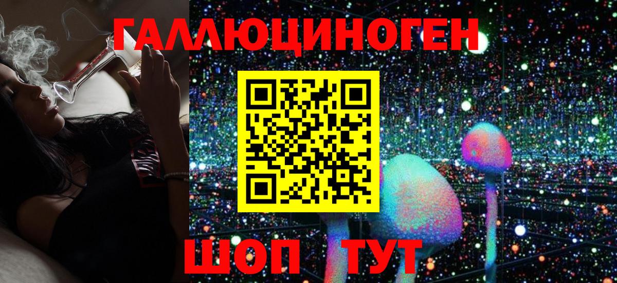 Галлюциногенные грибы Psilocybe Муравленко