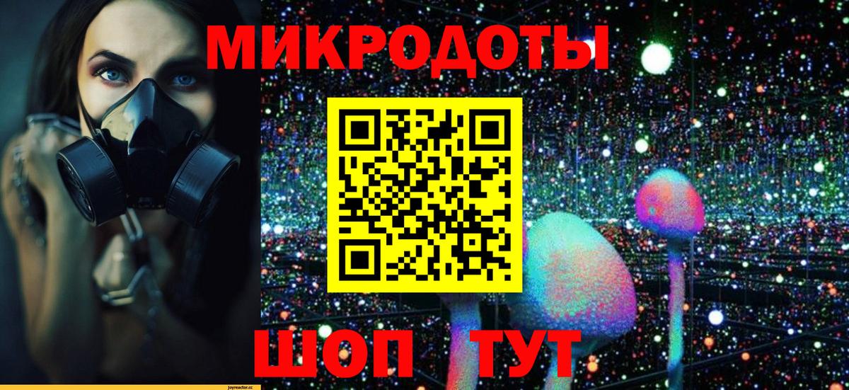 где найти наркотики  Вход с VPN  Псилоцибиновые грибы мухоморы  Муравленко  Псилоцибиновые грибы Psilocybe 
