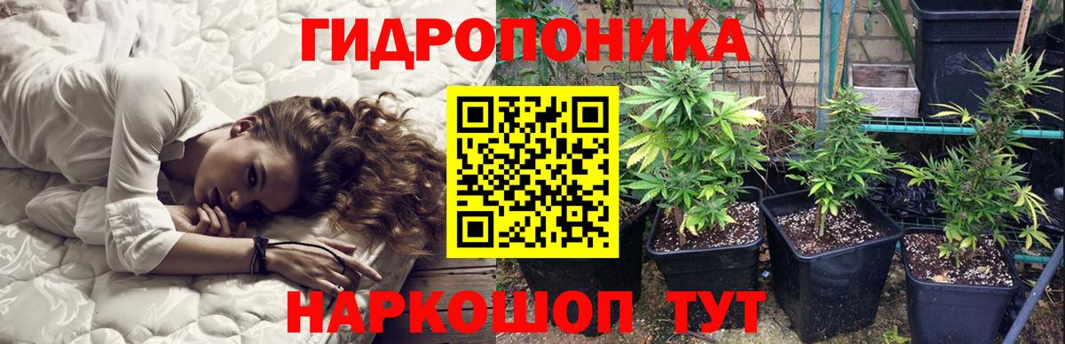 Бошки марихуана MAZAR Муравленко
